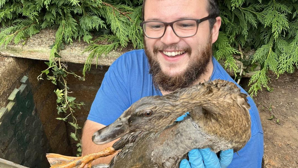 The duck with one of the rescuers