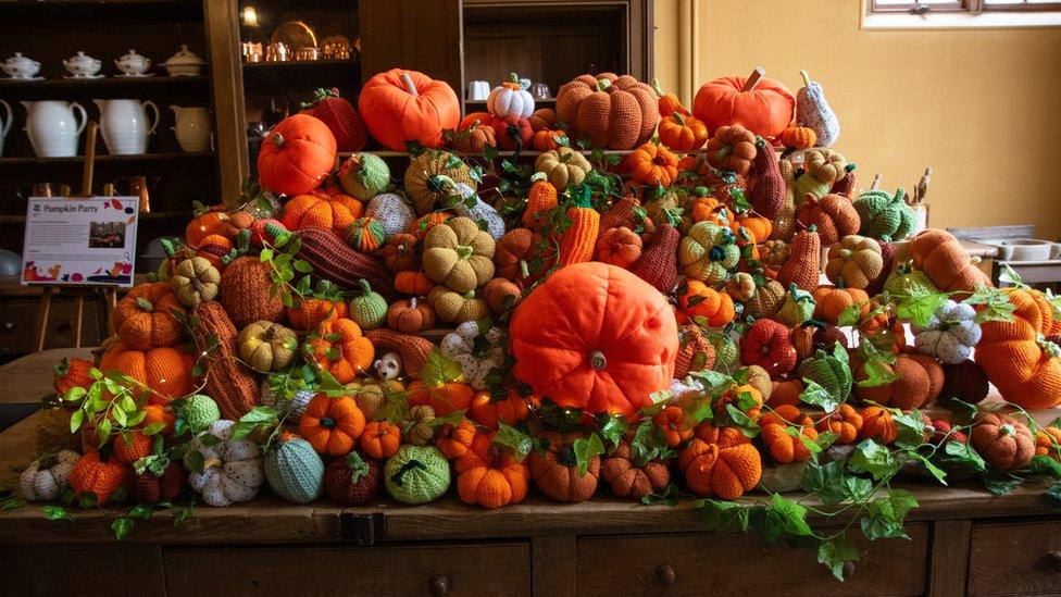 Knitted pumpkins