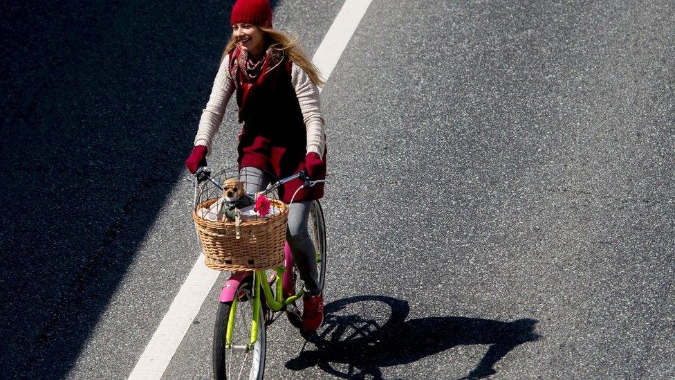 Woman riding bike with dog in basket.