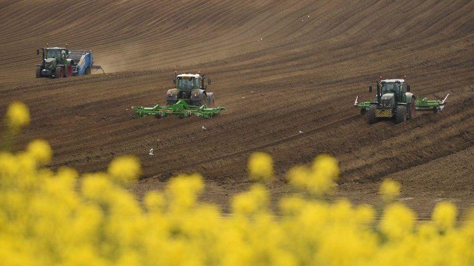 Tractors on a field