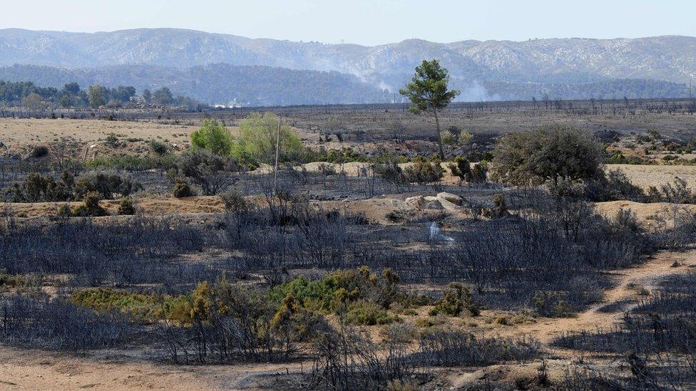 Charred fields near Vitrolles, 11 August