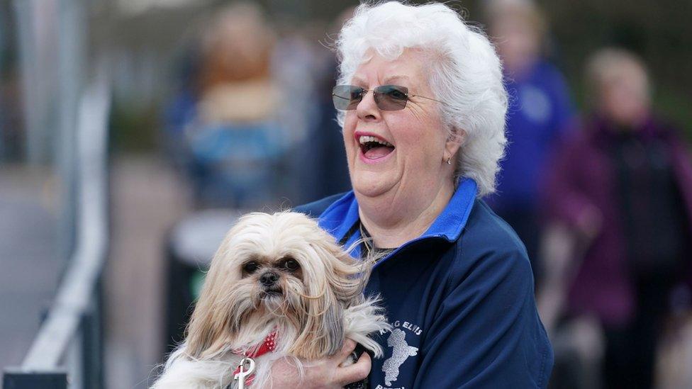 Shih tzu with owner