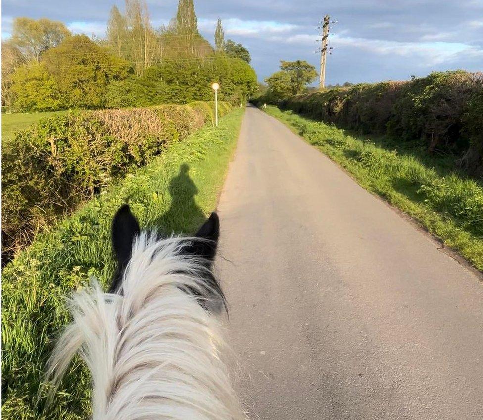 Horse ride on lane