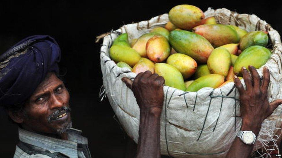 Indian mangoes