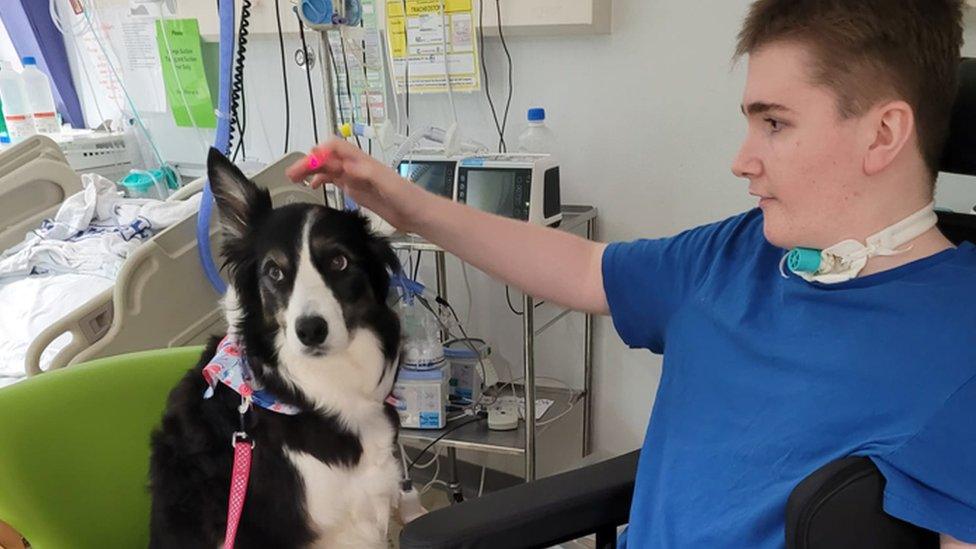 James, pictured with Daisy the therapy dog, was so ill doctors did not think he would survive