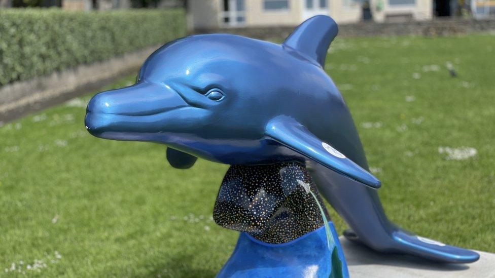 Dolphin model, Isle of Man