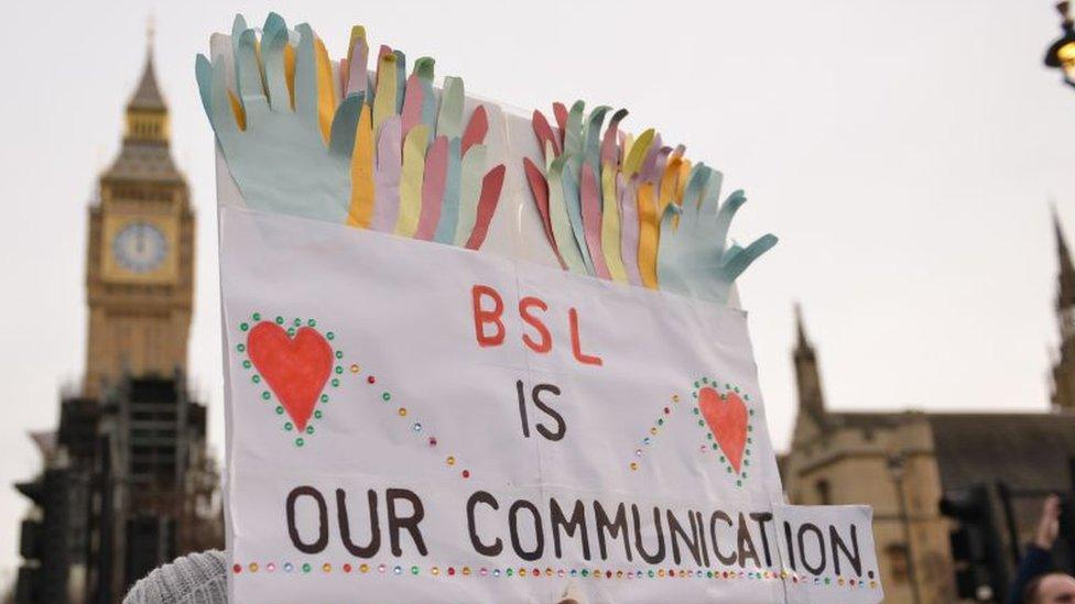 A placard at a rally for the BSL bill.