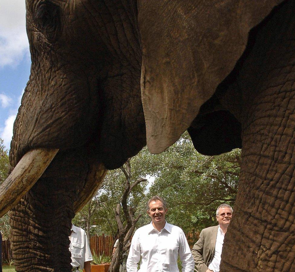 Tony Blair with an elephant