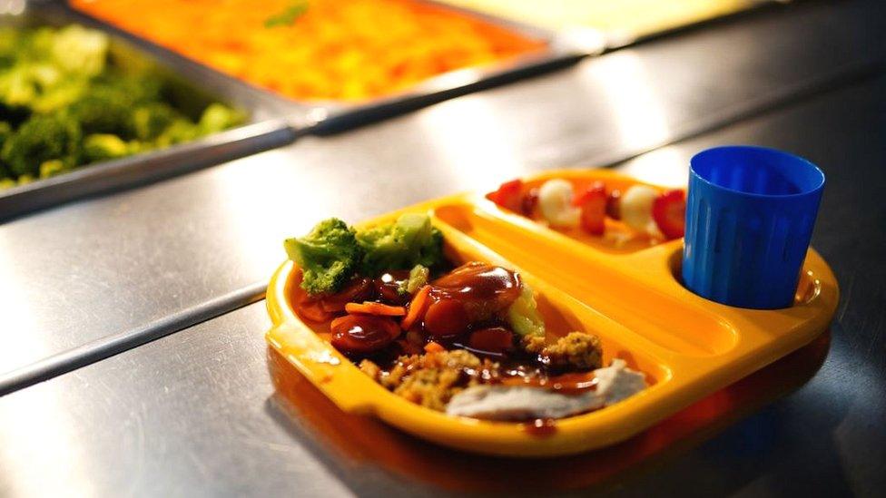 A school lunch tray