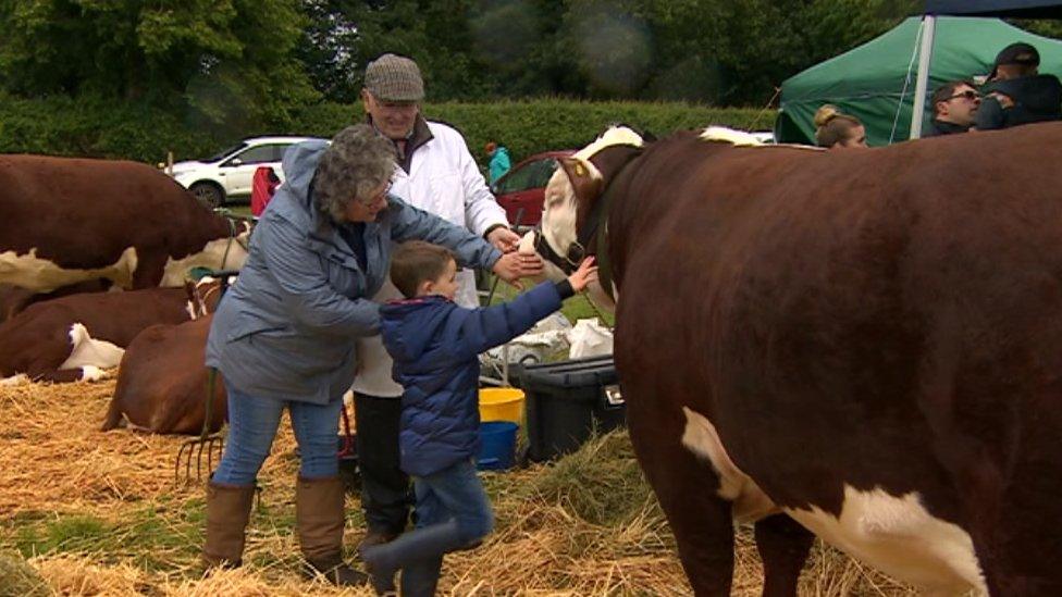 Kenilworth Show