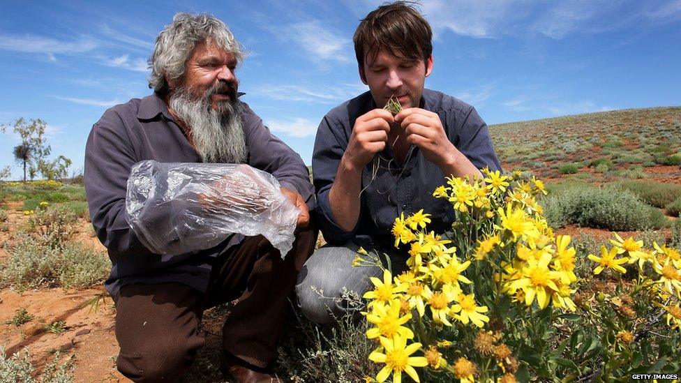 Indigenous guide Clifford Coulthard and world's top chef Rene Redzepi, of Danish restaurant Noma forage for food during a visit to Nepabunna land in the South Australian Outback on October 3, 2010 in Flinders Ranges