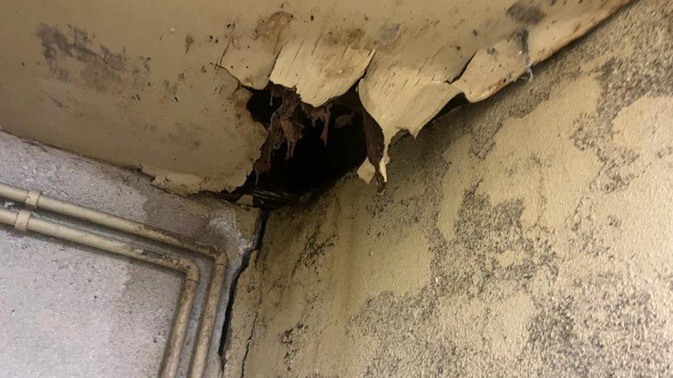 crumbling roof in storeroom at derry kennels