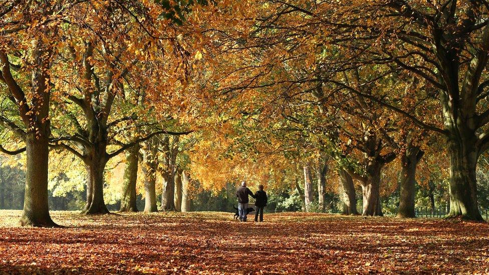 Abington Park, Northamptonshire