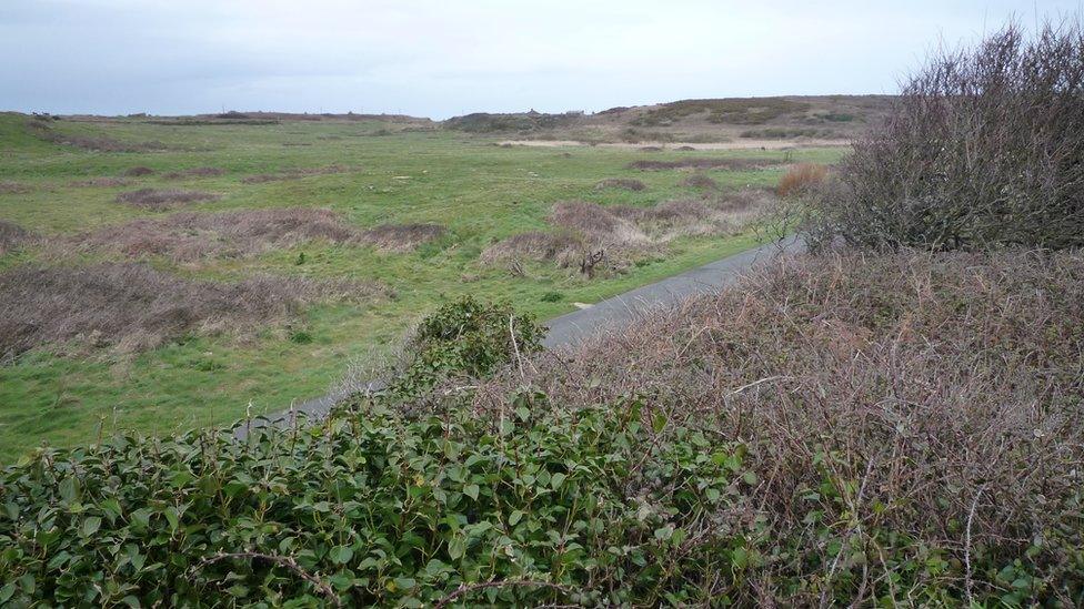 Longis Common, Alderney