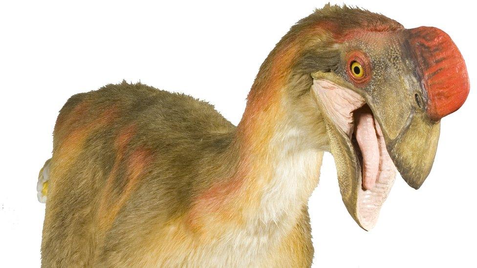 Oviraptor