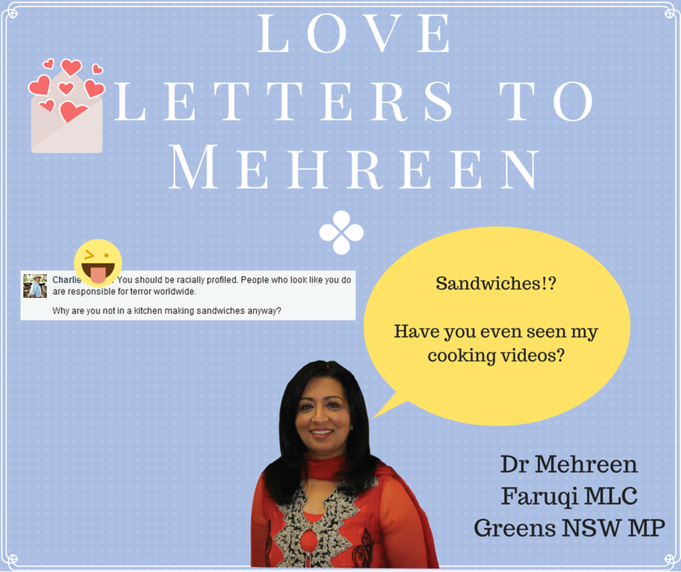 An abusive message which Mehreen Faruqi posted on her Facebook page