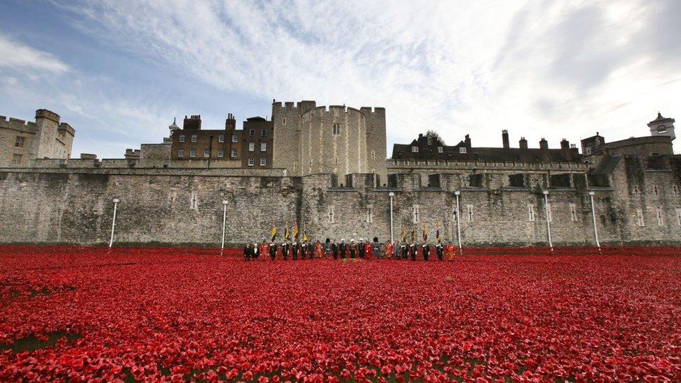 Poppies at Tower of London