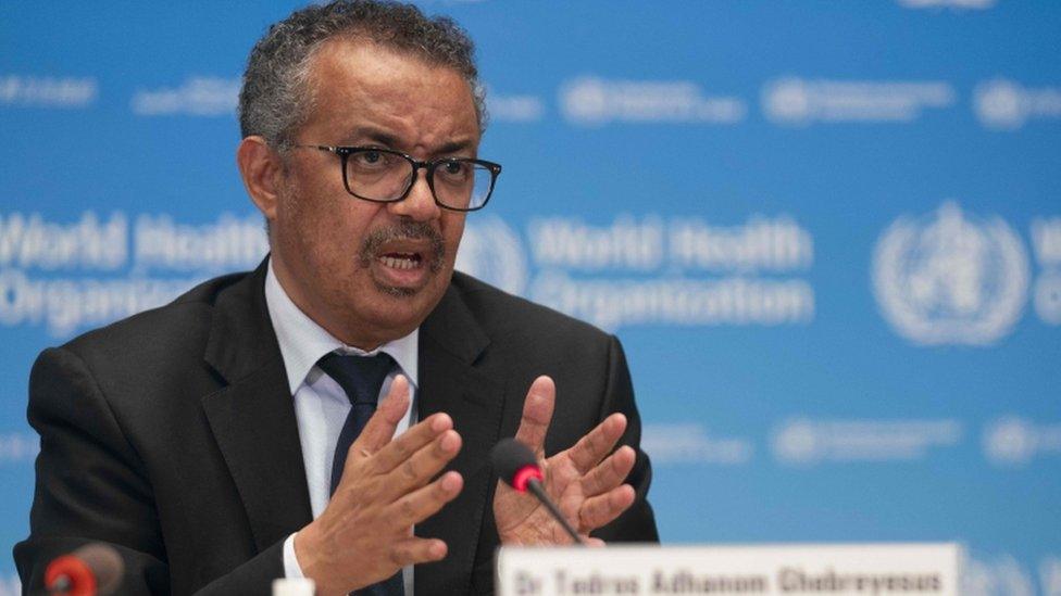 The WHO's Director-General, Tedros Adhanom Ghebreyesus