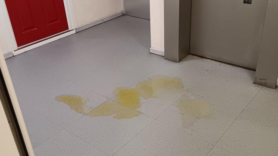 Oatland Court urine stains