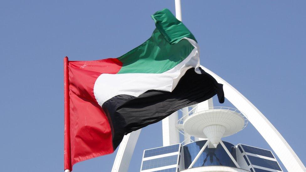 UAE flag