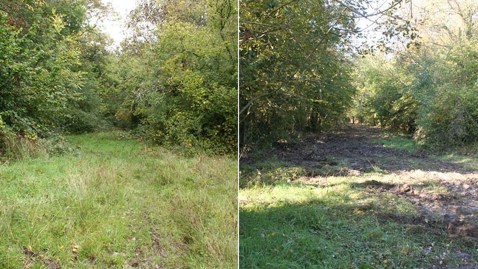 Inglestone Common in South Gloucestershire