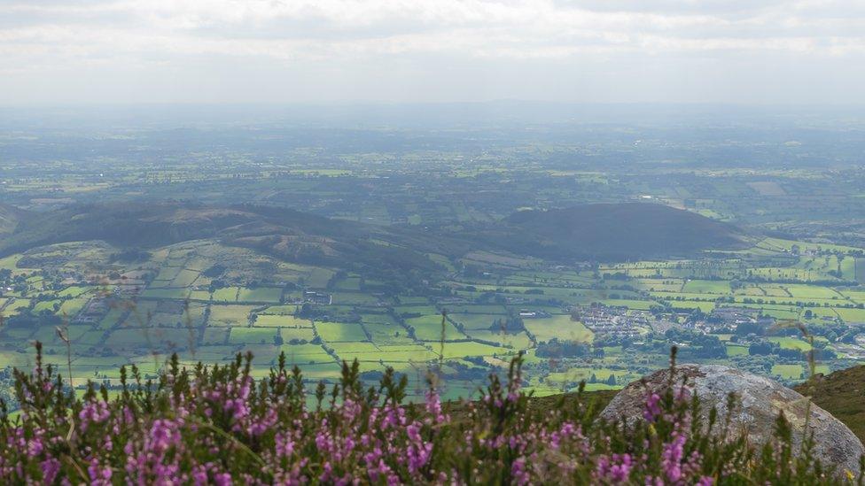 The actual Irish border: from County Armagh in Northern Ireland, looking across to County Louth, in the Republic of Ireland.