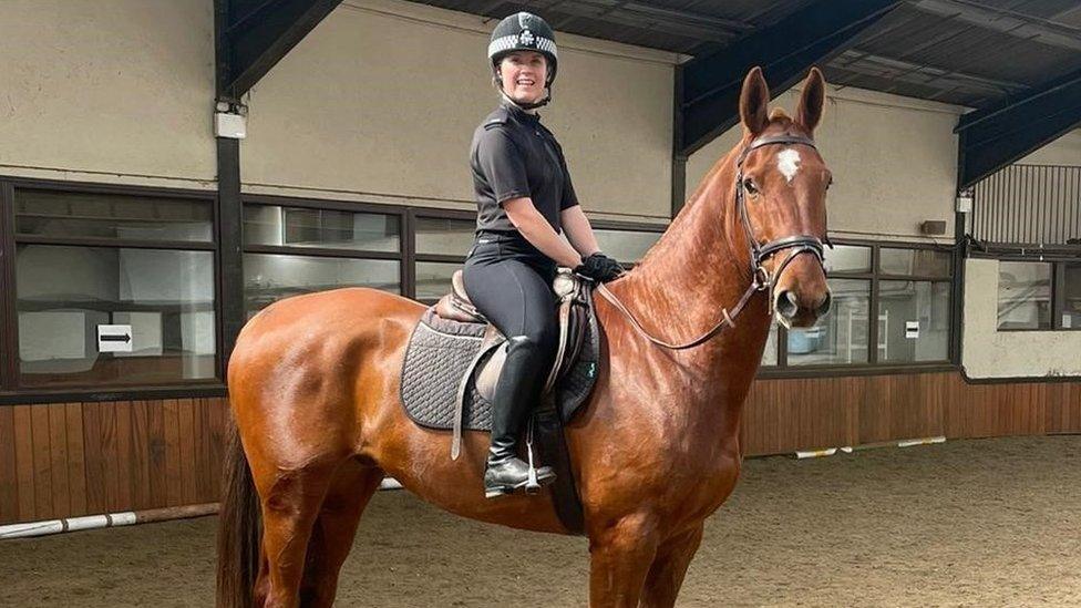 Police horse, Rocky