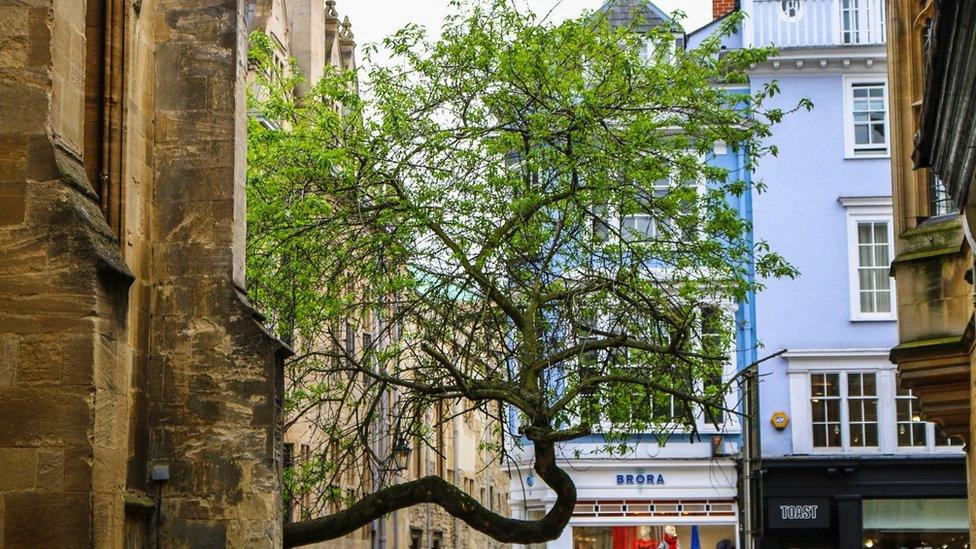 St Mary's Passage, Oxford