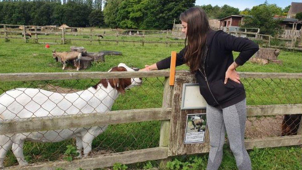 Brockswood Animal Sanctuary