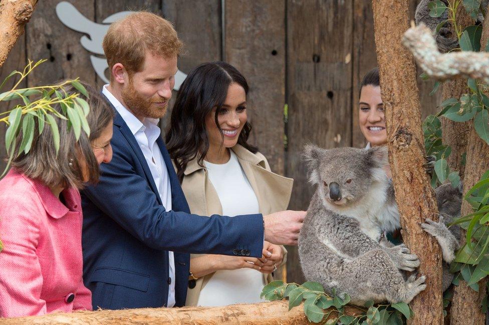 The Duke and Duchess of Sussex meet a Koala called Ruby during a visit to Taronga Zoo in Sydney on the first day of the Royal couple"s visit to Australia