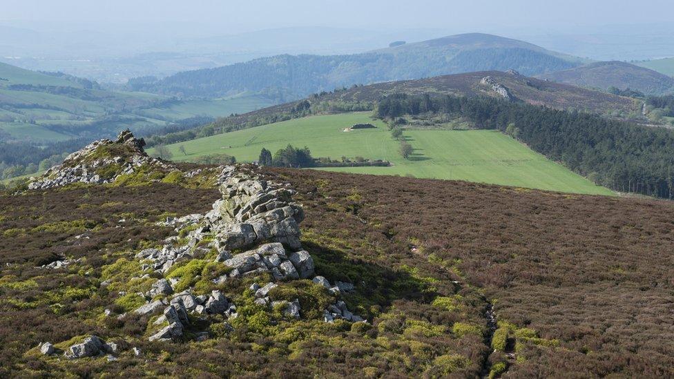 The Stiperstones, Shropshire