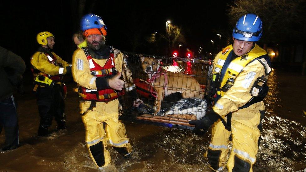 A dog is rescued from a flooded house in Carlisle.