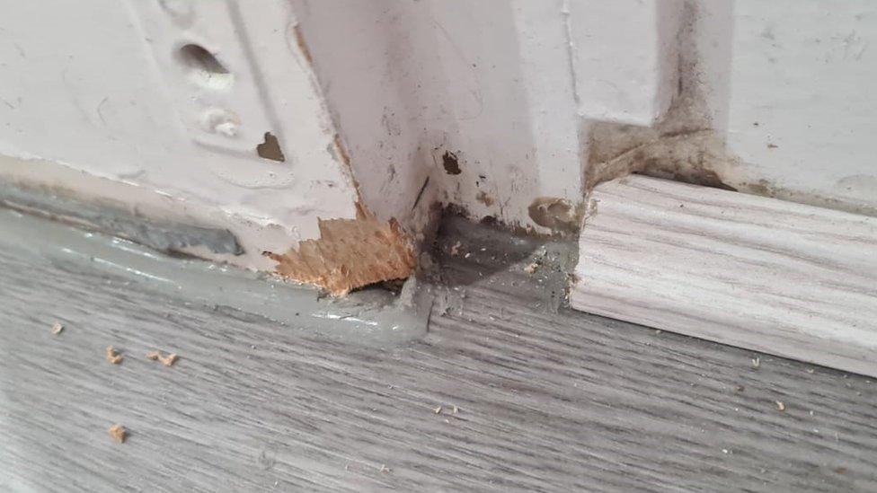 Skirting board chewed by squirrels in Michelle's house