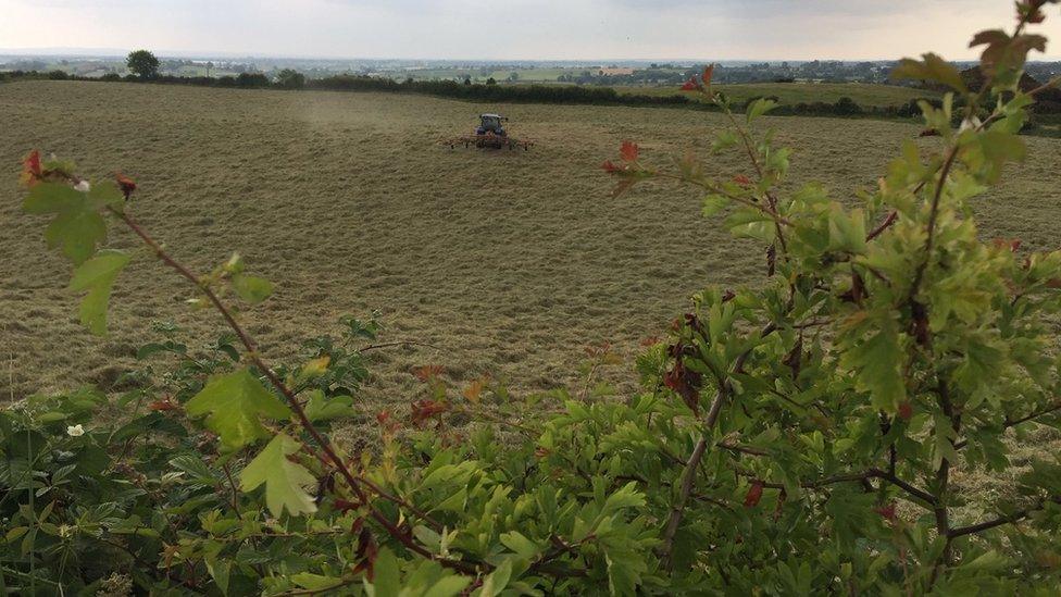 A tractor in a field