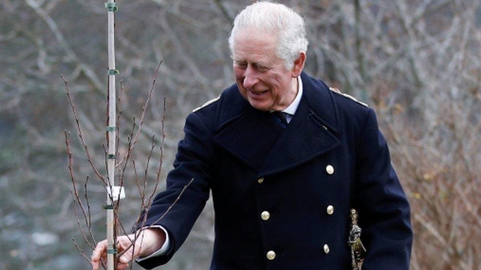 The Prince of Wales plants a tree after presiding over the Lord High Admiral"s Divisions at Britannia Royal Naval College, Dartmouth