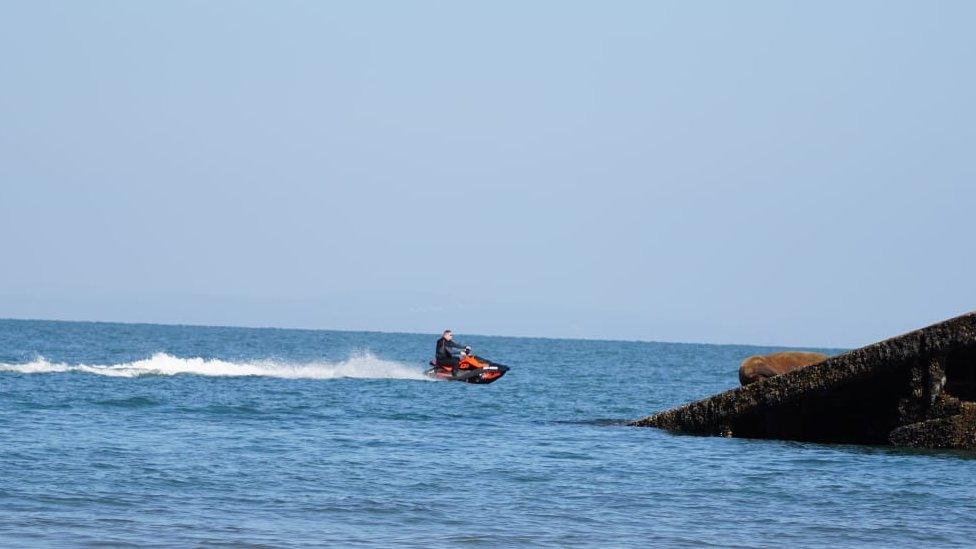 A person on a jetski gets dangerously close to Wally the Walrus