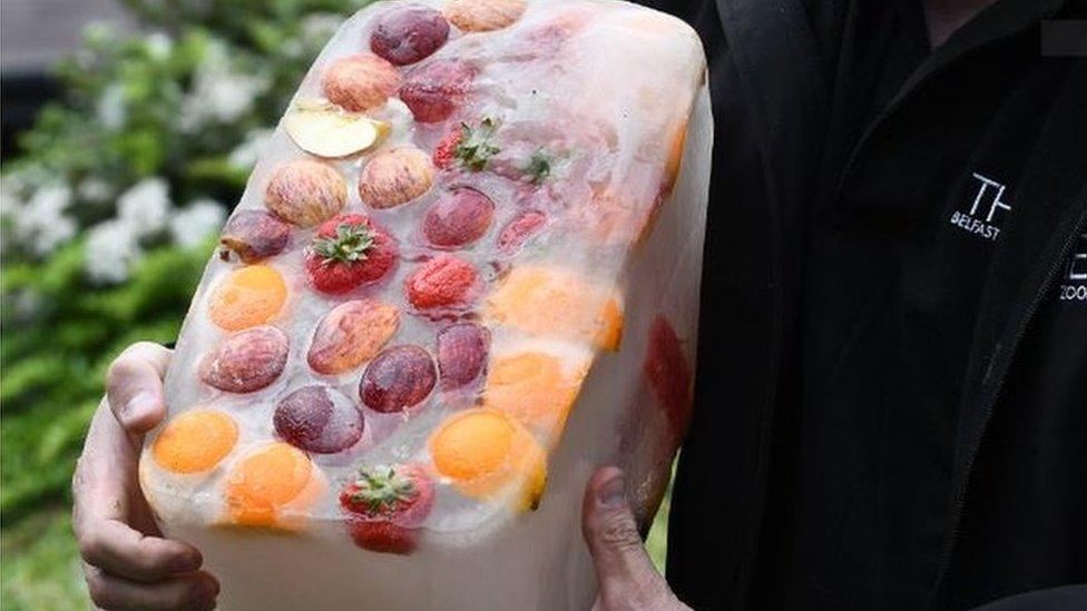 Fruit encased in ice is used to feed some of the animals at Belfast Zoo during hot weather