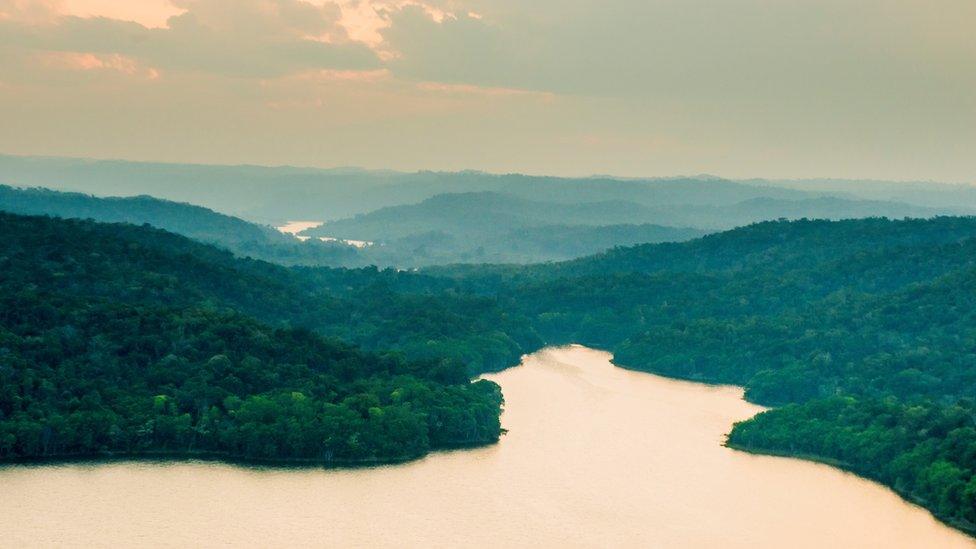 A view of the Maya Biosphere Reserve