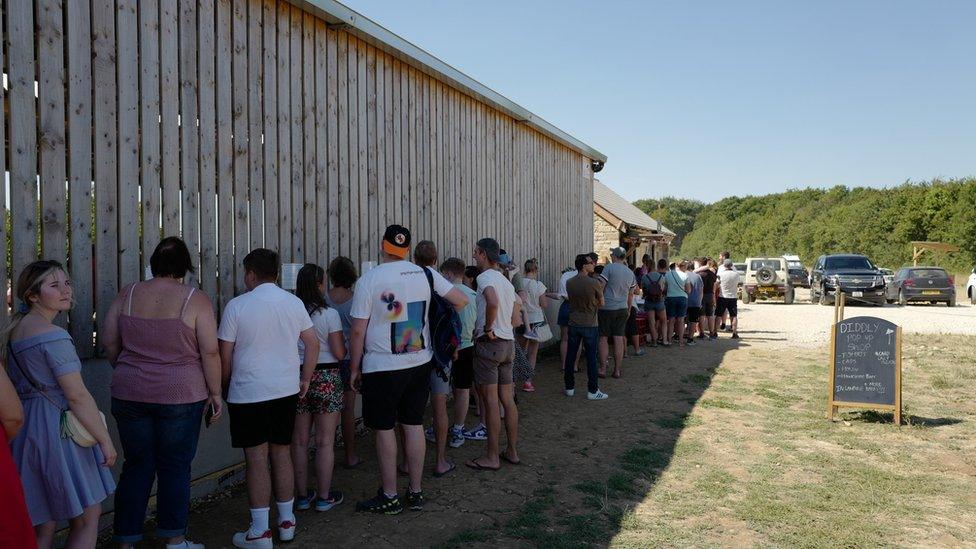 Queues at Diddly Squat Farm