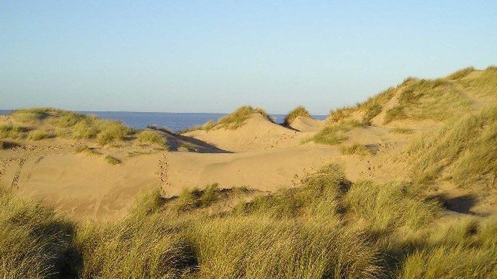 Sand dunes at Formby