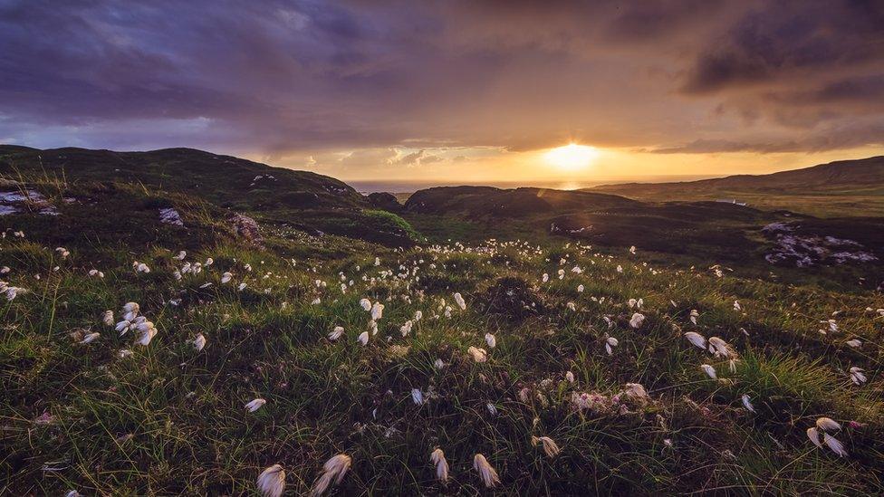 Colonsay