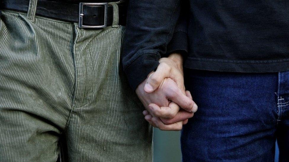 Same sex couple holding hands