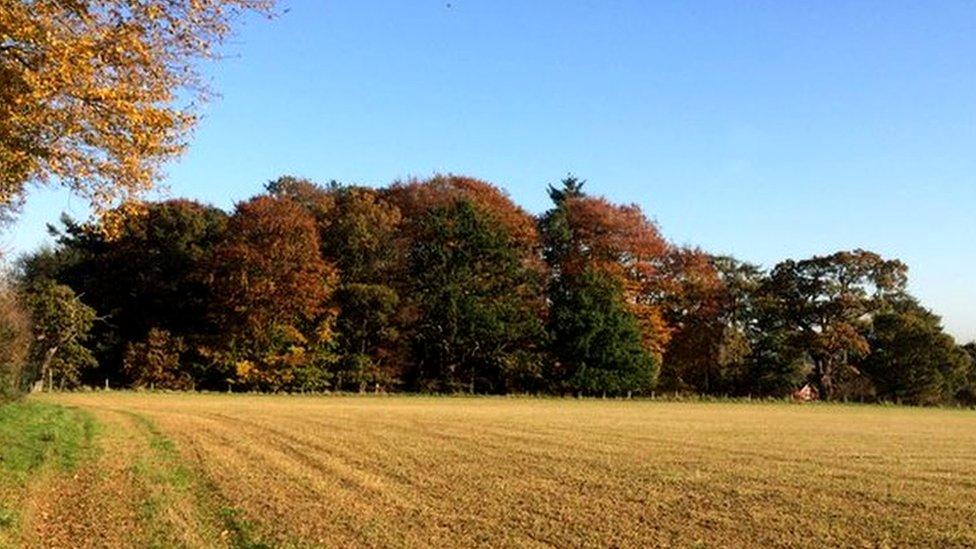 Rural Hertfordshire