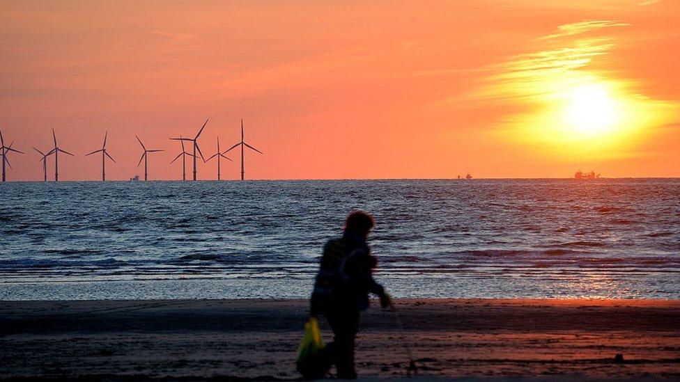 Offshore wind farm at sunset