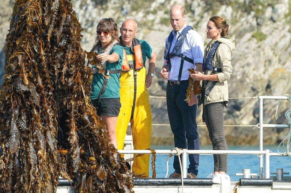 Britain's Prince William, Prince of Wales and Britain's Catherine, Princess of Wales visit the Câr-Y-Môr Seaweed Farm in south-west Wales on September 8, 2023.