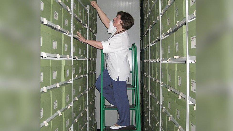 Checking reference material in the fungarium at the Royal Botanic Gardens, Kew