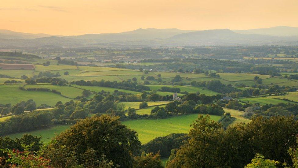 A view of the Black Mountains