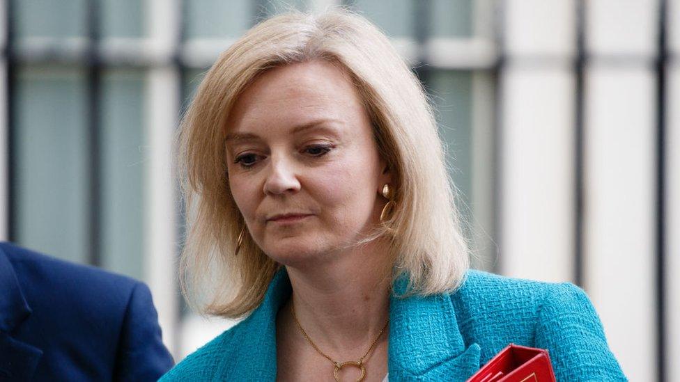 Equalities Minister Liz Truss