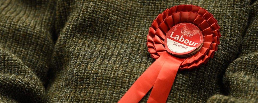 Close-up of Labour rosette