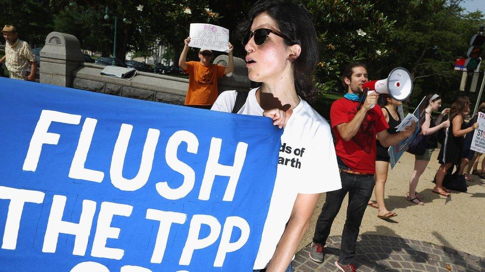 A Washington, DC, protestor holds up a "flush the TPP" sign.